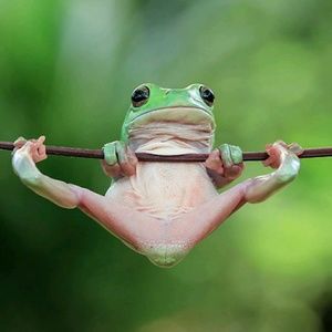 Meet your Posher, Eduardo